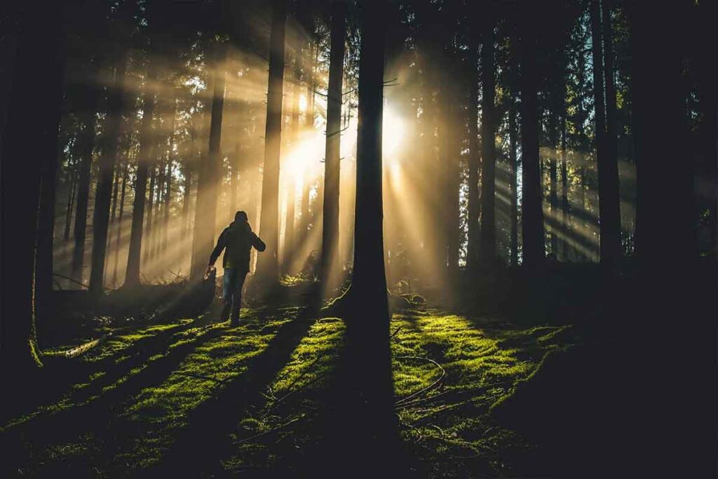Hopium Health How to Politely (Yet Firmly) End The Unhealthy Relationship Between Stress and Diabetes Image