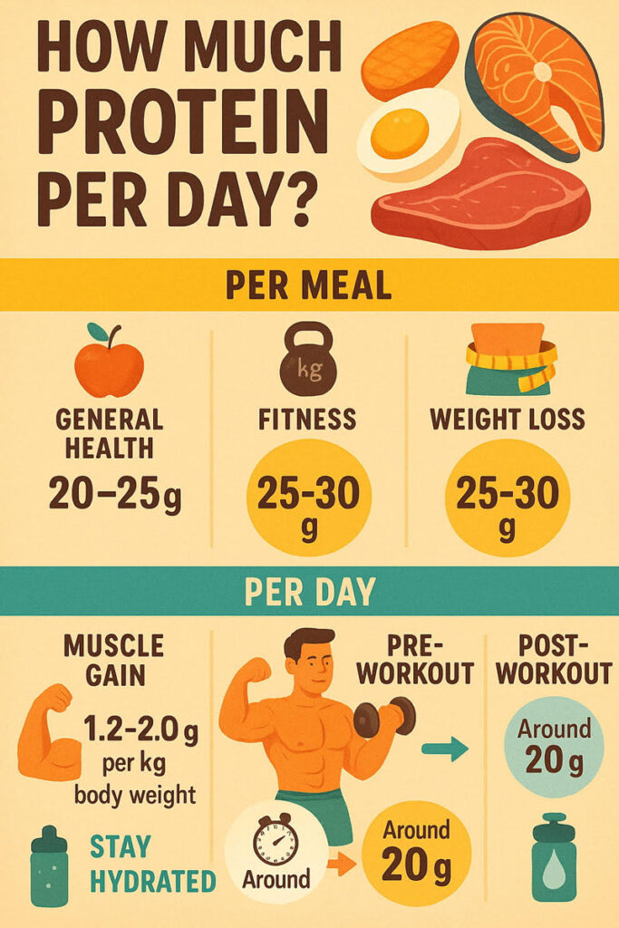 Daily and per-meal protein needs infographic
