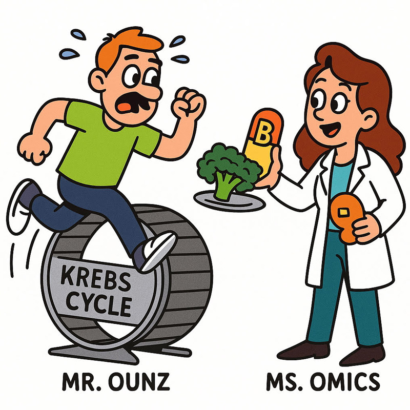 Cartoon of Mr. Ounz running on a Krebs Cycle wheel as Ms. Omics offers vitamin B and broccoli